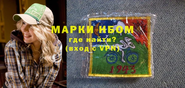 мдпв Инсар