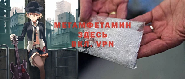 мдпв Инсар
