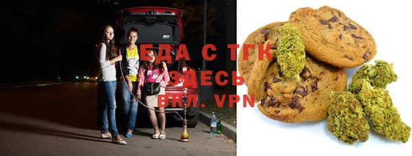 мдпв Инсар