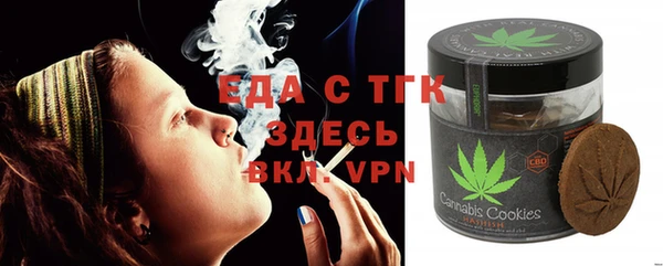 мдпв Инсар