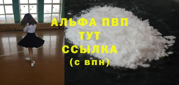 мдпв Инсар