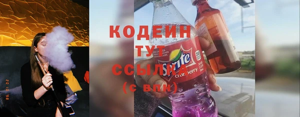 мдпв Инсар