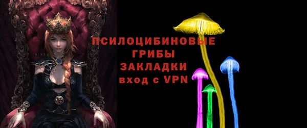мдпв Инсар