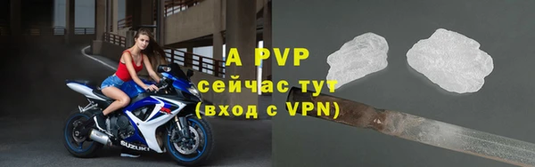 мдпв Инсар