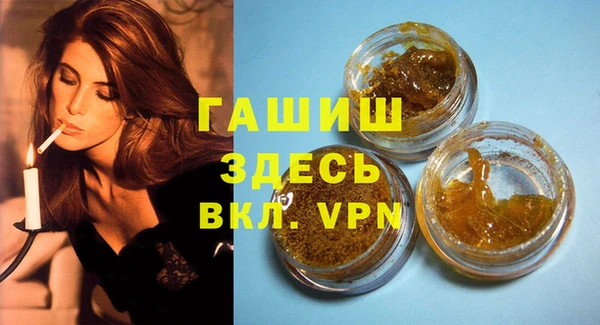 мдпв Инсар