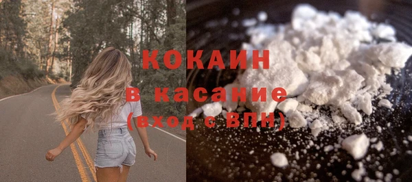 мдпв Инсар