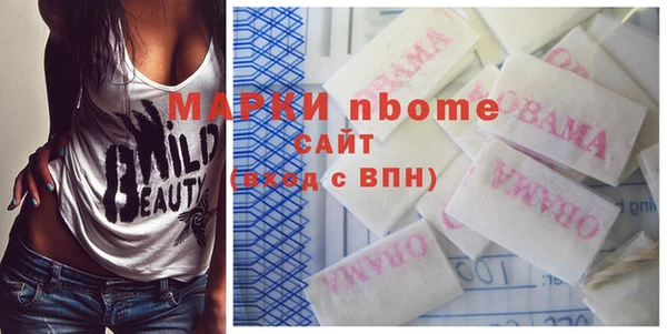 мдпв Инсар