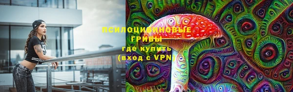 мдпв Инсар