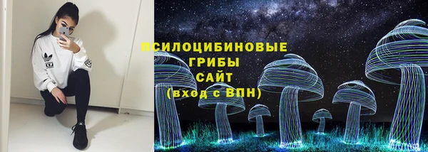 мдпв Инсар