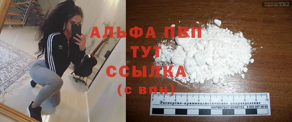 мдпв Инсар