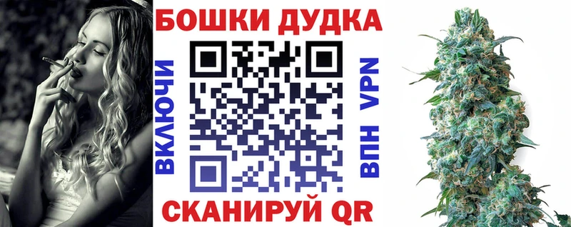 Бошки Шишки MAZAR  Купить закладки  Буй 